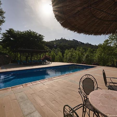 Masia Rural Can Salarichs Riudarenes Dış mekan fotoğraf